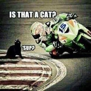 Meet your Posher, A.j.